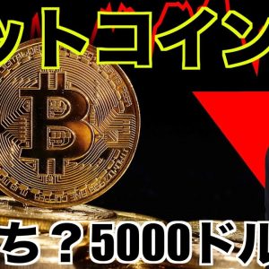 ビットコインに底打ちの可能性？5000ドル予測も⁉️