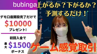 完全無料で仮想通貨トレードの勉強に挑戦！上がるか？下がるか？答えは2択！bubinga（ブビンガ）バイナリーオプション