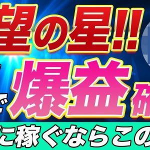 【今年の期待度SSS級通貨】年内数十倍の可能性も⁉︎まじで今購入しておけば間違いありません!!これだけ自信満々な理由をプロトレーダーが徹底解説します。【仮想通貨】