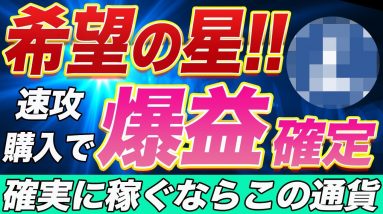 【今年の期待度SSS級通貨】年内数十倍の可能性も⁉︎まじで今購入しておけば間違いありません!!これだけ自信満々な理由をプロトレーダーが徹底解説します。【仮想通貨】