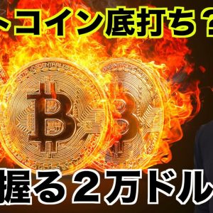 ビットコイン底打ち？上昇の鍵は２万ドル⁉️