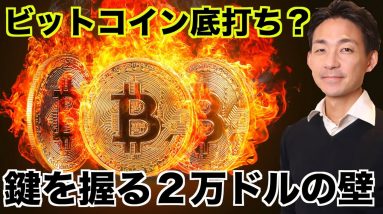 ビットコイン底打ち？上昇の鍵は２万ドル⁉️