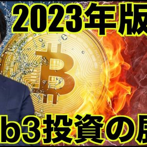 2023年仮想通貨・Web３投資の展望！Steve Leeさん今年初登場！