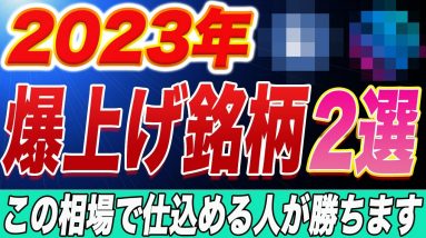 『億狙えます』今年の超優良通貨を厳選して2つ紹介します!!『仮想通貨』『ビットコイン』