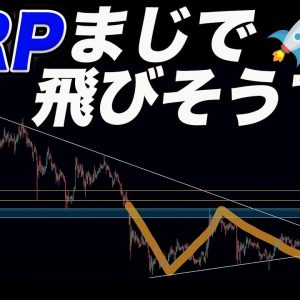 リップルこの動きしたら上に飛びます。ビットコインも爆上げサイン点灯!!4月からは期待しかありません。【仮想通貨】