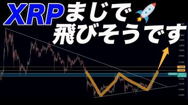 リップルこの動きしたら上に飛びます。ビットコインも爆上げサイン点灯!!4月からは期待しかありません。【仮想通貨】