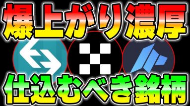 【本当は教えたくない】今から仕込んだらボロ儲けできそうな銘柄を教えます。