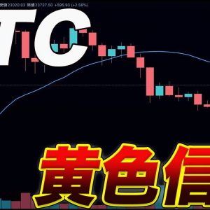 【月足確定】BTC今月暴落が来る⁉︎2月の月足の形に要注目!!【仮想通貨】【