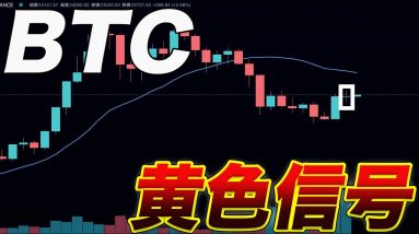 【月足確定】BTC今月暴落が来る⁉︎2月の月足の形に要注目!!【仮想通貨】【