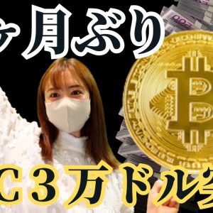 ビットコインBTC、3万ドル突破！これからの旨味のある○○戦略について