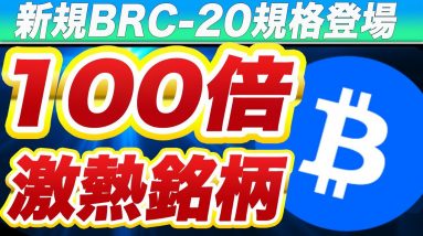 【来るか1万倍】次期『PEPE』『ORDI』になりうる新たなBRC-20規格のトークンの入手方法・期待度を徹底解説します。【仮想通貨】