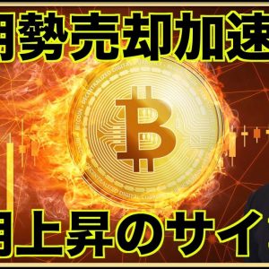 ビットコインは長期ポジティブ？短期勢の売却が進む。