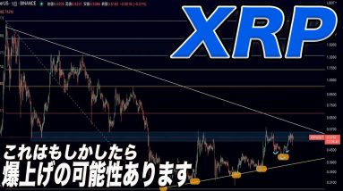 【XRPかなり強い】軒並みアルトコインが下がる中、リップルが爆上げする可能性あります。【仮想通貨】【ビットコイン】