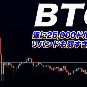 ⚠️仮想通貨はかなり赤信号⚠️急落注意!!BTCはこのまま20,000ドルまで直行もありえます。【仮想通貨】【ビットコイン】