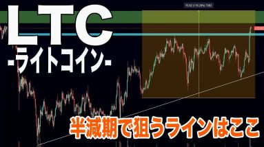 予想通りライトコイン大暴騰!!これから半減期に向けて狙えるライン教えます。【仮想通貨】【ビットコイン】