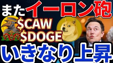 【イーロン砲】CAW・DOGEがいきなり上昇！まだ次のチャンスがあるかも？Worldcoinのベーシックインカム受取方法更新！【エアドロップ】【仮想通貨】