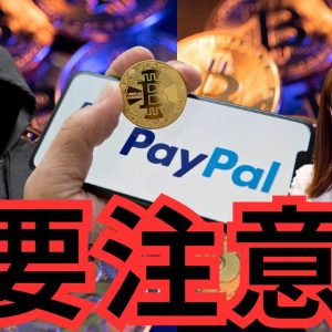 【速報】PayPal、仮想通貨ステーブルコイン発表！XRP、強気20ドル予測の理由。