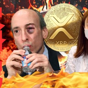 【速報】SEC、XRP(リップル)に対する裁判所の判決を不服として控訴！ゲンスラーの逆襲始まる。。。