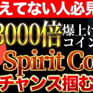 【仮想通貨】3000倍コインで、100％勝てる推理【SPIRIT】