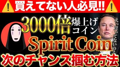 【仮想通貨】3000倍コインで、100％勝てる推理【SPIRIT】