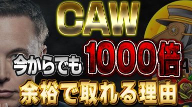 【CAW】今から1000倍取れる理由、期待値調査報告【魔界コイン】