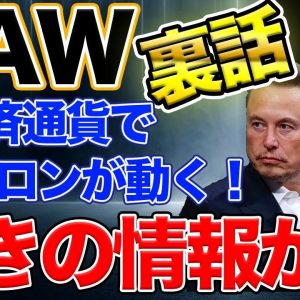 【裏情報】イーロン銘柄で人気のCAW...驚きの情報を限定公開します