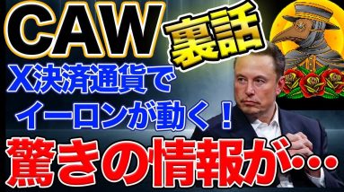 【裏情報】イーロン銘柄で人気のCAW...驚きの情報を限定公開します