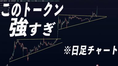 【あなたは持ってますか?】意外とまだ注目されていないトークンの将来性を徹底解説します。【仮想通貨】