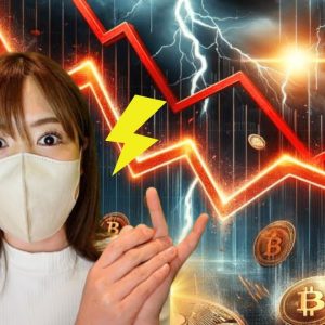 ビットコイン今年はもう下落続行？仮想通貨クジラが計画語る！総額330万円キャンペーン告知🎁