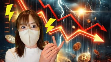 ビットコイン今年はもう下落続行？仮想通貨クジラが計画語る！総額330万円キャンペーン告知🎁