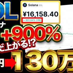 【SOL】1年で+900%のソラナは来年も10倍以上上昇!?