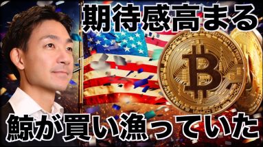 ビットコインを鯨が買い漁っていた。上昇期待高まる！