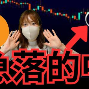 急落的中！ビットコインETF非承認で急展開🔥今知るべき仮想通貨最新情報お届け！