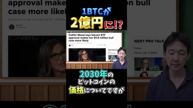 ビットコインは2030年に2億円まで上昇する？ #仮想通貨 #暗号資産 #投資