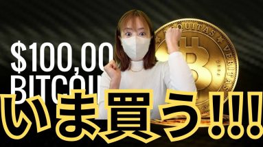 ビットコイン今買うか？それとも永遠に後悔するか？仮想通貨最新情報