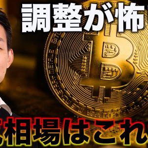 ビットコインの強気相場はこれから。調整が怖い？