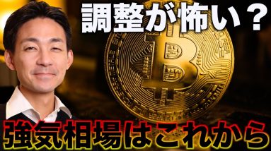 ビットコインの強気相場はこれから。調整が怖い？