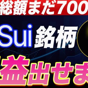 【まだ誰も目を付けてません】今回の仮想通貨バブルで100倍以上狙える通貨を徹底解説します。