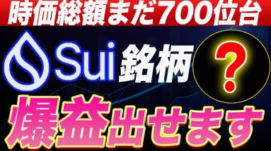 【まだ誰も目を付けてません】今回の仮想通貨バブルで100倍以上狙える通貨を徹底解説します。