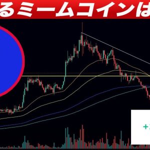 【少額からでも爆益出せます】次期ペペコイン？リアルに100倍狙えるミームコイン紹介します。【仮想通貨】