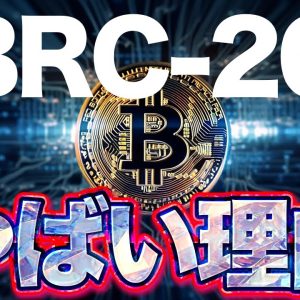 【BRC20】手を出さない理由【BTC】