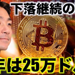 ビットコイン下落の背景。来年は25万ドルまで上昇する？