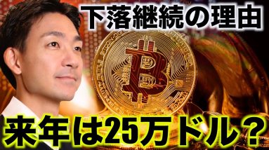 ビットコイン下落の背景。来年は25万ドルまで上昇する？