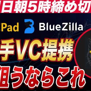 『期待値ありすぎの猫ミームコイン』明日の朝5時締め切り!!期待値しかないコインを紹介します。『仮想通貨』『猫ミーム』