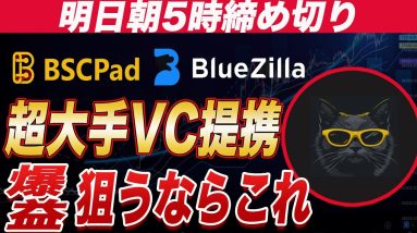 『期待値ありすぎの猫ミームコイン』明日の朝5時締め切り!!期待値しかないコインを紹介します。『仮想通貨』『猫ミーム』