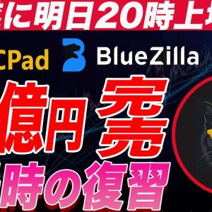 BSCPad・BlueZilla・Ape Terminalでも即完した＄CATAが遂に明日上場します。上場戦不安な方は見てください。『仮想通貨』