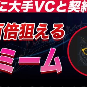 【まだ上場前に購入できます】大手VCブルージラも既に提携済み!!超激アツの猫ミームコイン【仮想通貨】【猫ミーム】