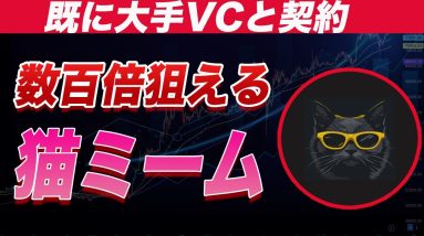 【まだ上場前に購入できます】大手VCブルージラも既に提携済み!!超激アツの猫ミームコイン【仮想通貨】【猫ミーム】