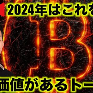 仮想通貨2024年はこれを買う。買う価値があるトークンとか。