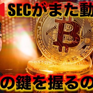 ビットコイン・仮想通貨の救世主？SECがまた動いた！